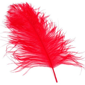 Перо страуса 55см красный