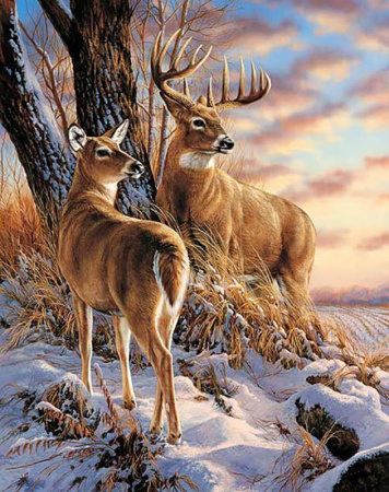 668